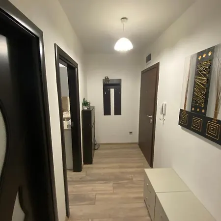 Apartment Brand New Cozy 1br Flat With Ac & Free Street Parking *
